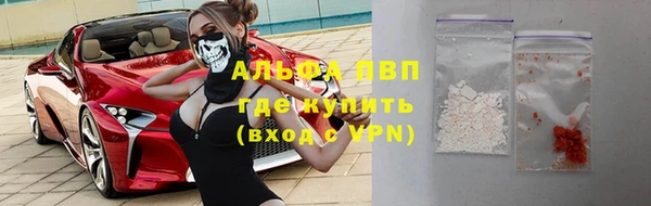 сатива Володарск