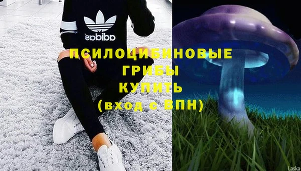 сатива Володарск