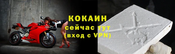 сатива Володарск