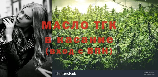 сатива Володарск